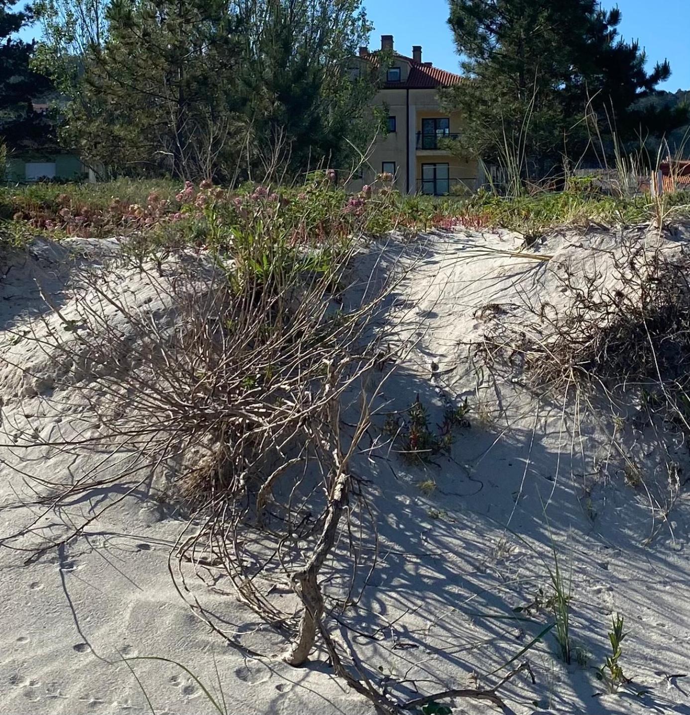 Apto Las Dunas De Langosteira En Finisterre Dış mekan fotoğraf